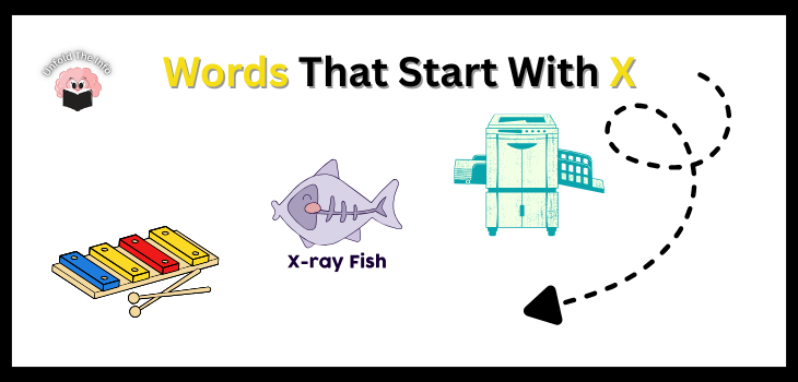 Words That Start With X in 2025