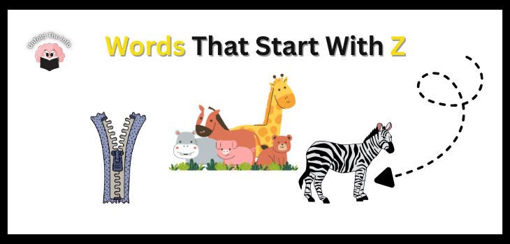 Words That Start With Z