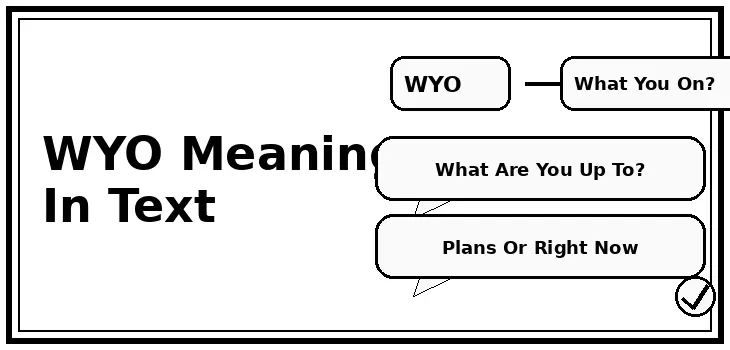 wyo meaning in text
